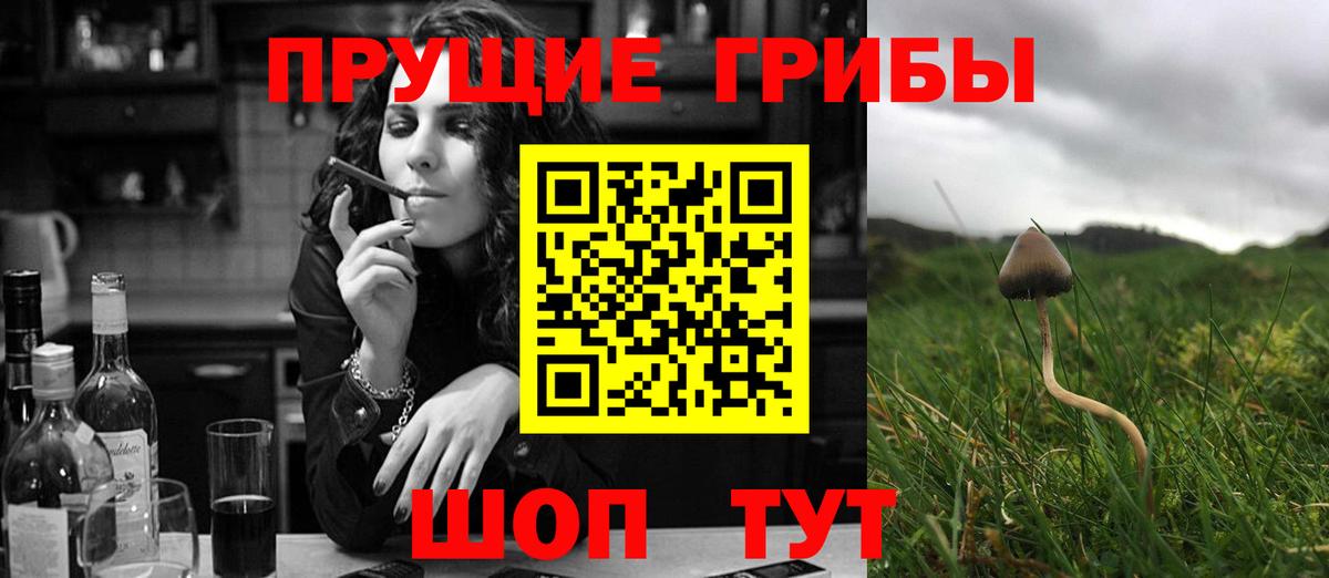 Галлюциногенные грибы прущие грибы  Вход с VPN  Горячий Ключ 